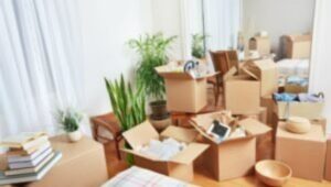 Packers and Movers Akurdi