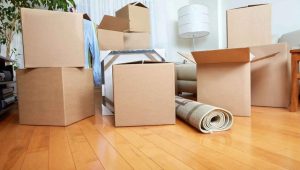 packers and movers Kothrud